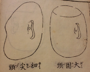 CA3G0627.JPG